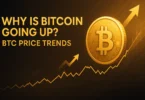 why bitcoin is going up