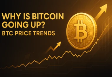 why bitcoin is going up